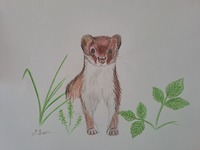 20251226_130210.jpg-1920x1440